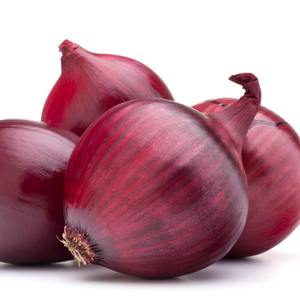 Autumn Planting Onion Sets 'Electric'