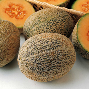 Melon 'Honey Bun'