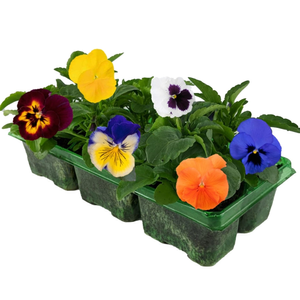 Bedding Carry Pack £4.99