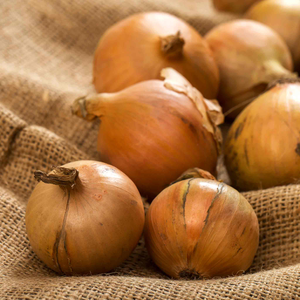 Spring Planting Onion Sets 'Crusado'