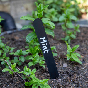 Plant Labels