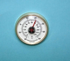 50mm Gold Plastic Thermometer Insert