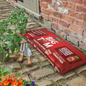 Westland Big Tom Tomato Planter