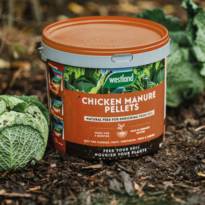 Westland Organic Chicken Manure Pellets