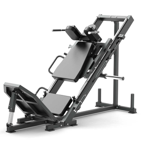 Hack Squat/Leg Press Machine