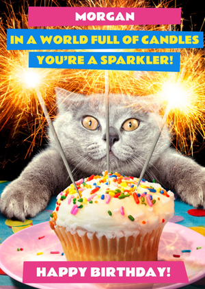 Avanti In A World Full Of Candles You're A Sparkerler Funny Cat Birthday Card