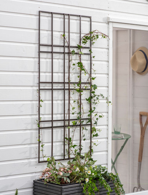 Charlbury Wall Trellis 60cm - Steel, Grey