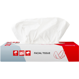 Viking Facial Tissues 2 Ply 100 Sheets