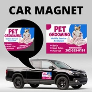Car Magnets and Vehicle Magnets