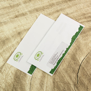 #10 Envelopes - Business Size Envelopes