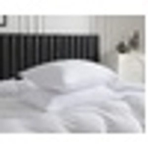 Jersey Pillowcase Standard Pair White