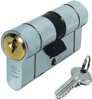 Schlosser Technik Ultimate Key Dual Finish Euro Cylinder Door Lock - 100mm 40/60