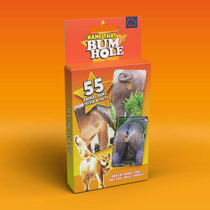 Name That Bumhole Card Game