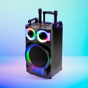 X Echo 710 Trolley Speaker 40W With Dual Wireless Microphones Black
