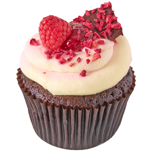 Chocolate and Raspberry Cupcake