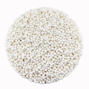 Tapioca Pearls 1kg