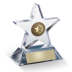 Star Performance Acrylic Award