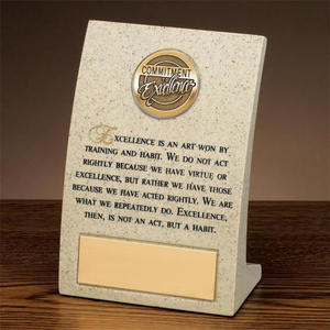 Standard of Excellence Award