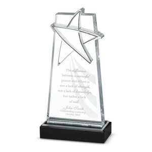 Driven to Shine Star Acrylic Award