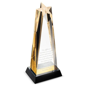 Aspire Star Tower Acrylic Award
