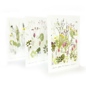 Highgrove Wildflower Meadow Concertina Card