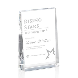 Tweed Rectangle Crystal Award