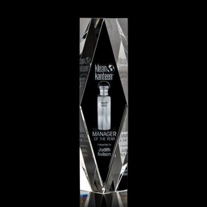 President 3D Award 