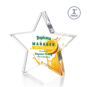 Standing Star VividPrint&trade; Award