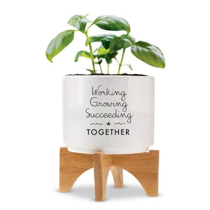 Working Growing Succeeding Planter with Stand