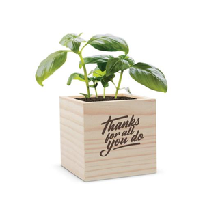 Thanks for All You Do Plant Cube