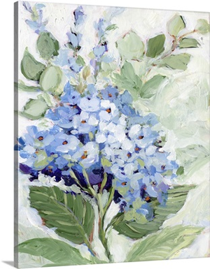 Hydrangea