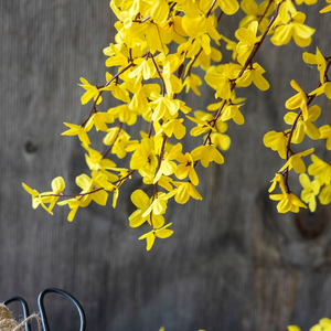 Artificial Forsythia, Amber