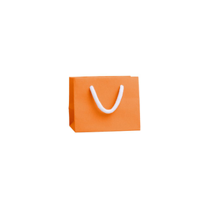 Extra Small Landscape White Paper Gift Bag With Rope Handles