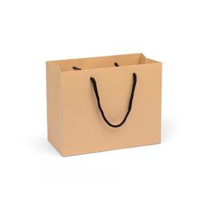 Medium Landscape Paper Gift Bag | Rope Handles 