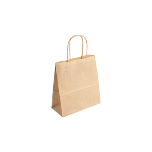 Essentials Small Kraft Brown Paper Gift Bag with Paper Twisted Handles