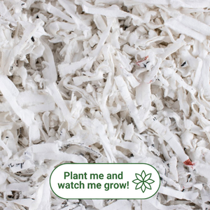 Plantable Seed Paper Shredded Box Filler - 1kg