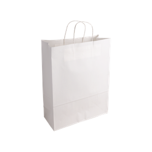Essentials Medium White Paper Gift Bag With Paper Twisted Handles