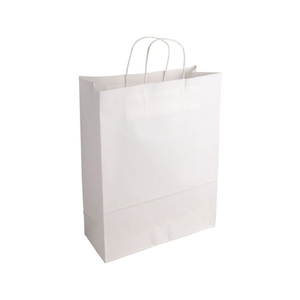 Essentials Large White Paper Gift Bag With Paper Twisted Handles