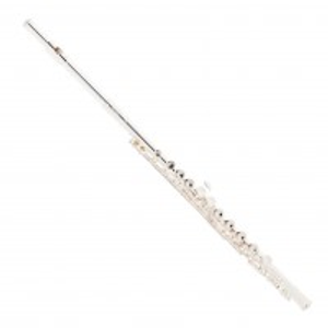 Roy Benson FL402E Flute