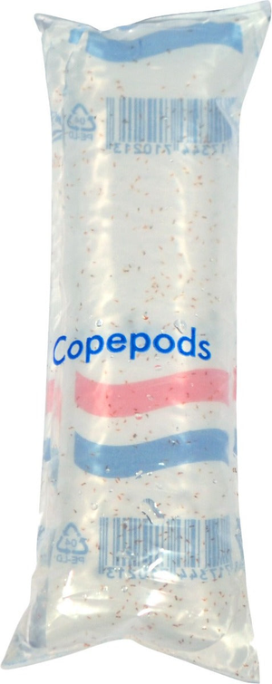 Aquadip Live Copepods 100ml Pouch