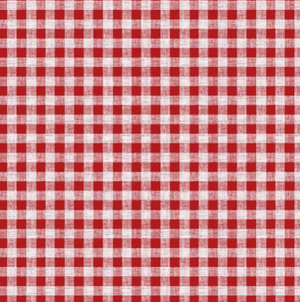 Red gingham pattern wipe clean oilcloth/tablecloth