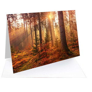 Fotospeed  FOTOCARDS Matt Ultra240 A5 50 cards