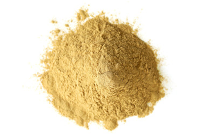 Maitake Extract Powder Organic