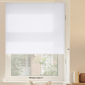 Veil, Polar - Pleated Blind