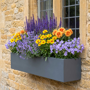 Contemporary Window Box Collection