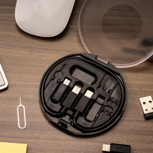 Travel Buddy: Electronics Kit