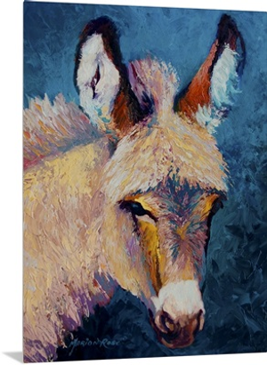 Mystic Burro
