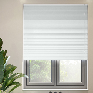 Skylar (Blackout), Shimmer - Pleated Blind