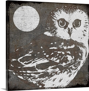 Owl III