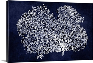 Sea Fan on Indigo Blue II